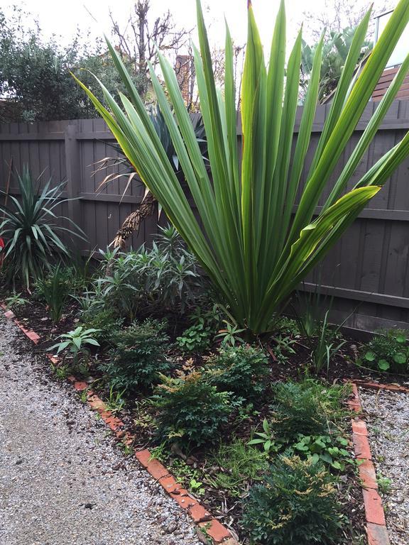 Garden Cottage St Kilda Ville de Ville de Melbourne Extérieur photo